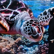 Plus de 20 pays signent au Costa Rica une déclaration de paix à l'océan