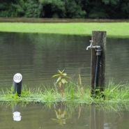 Le SPF Santé annonce de nouvelles mesures contre la pollution de l'eau par le bentazone