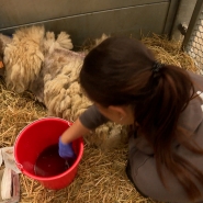 microsoftteams-image_114