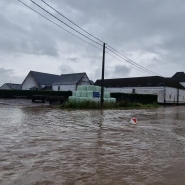 microsoftteams-image_11