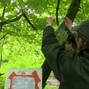 Inquiets, de nombreux riverains nous ont contactés via le bouton orange Alertez-Nous. Ils dénoncent les pratiques d'Elia, le gestionnaire du réseau électrique, qui souhaite faire passer des câbles à haute tension par le Bois du Val Saint-Lambert, à Seraing. Les défenseurs de l’environnement tirent la sonnette d’alarme : ils craignent un impact sur la biodiversité en pleine période de nidification.