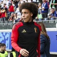 witsel