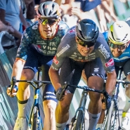 belgaimage-95825819_copie