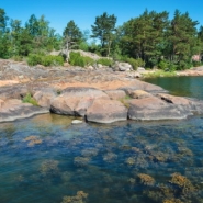 La mer Baltique, un laboratoire pour préserver les océans du réchauffement