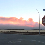 Un incendie criminel, nommé Park Fire, a déclenché le premier mégafeu de l'année en Californie, entraînant l'évacuation de plus de 3.500 personnes. Plus de 1.150 pompiers combattent les flammes, qui menacent notamment la ville de Chico.
