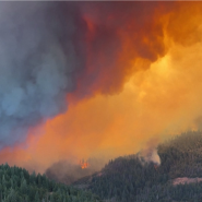Un énorme incendie de forêt se propage rapidement dans le nord de la Californie depuis mercredi soir. En une seule soirée, le Park Fire a dévoré près de 97.000 hectares. Le feu n'est toujours pas maîtrisé malgré le travail acharné des 1.700 pompiers. Jeudi, la police a arrêté un homme de 42 ans, soupçonné d'avoir déclenché l'incendie en poussant une voiture en feu dans un ravin.