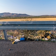 adobestock_452786375