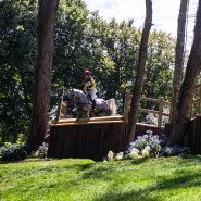 belgaimage-97232288_copie