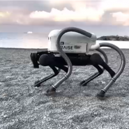 Voici VERO - ou Vacuum cleaner Amenities RObot.
Il s'agit d'un chien robot qui utilise l'IA pour identifier les mégots de cigarettes sur le sol et les aspirer à l'aide d'accessoires d'aspirateur sur chaque patte.