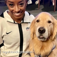 maquette_nouveau_look_v2_copy