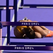 belgaimage-98043743_copie