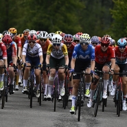 belgaimage-98490079_copie