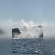 Témoin direct du crash au Lavandou, Céline, belge en vacances dans la région, a témoigné de l'horrible scène. Il a fait une pointe vers le haut, puis il a tourné sur la droite et il s'est écrasé dans la mer. On a cru qu'il allait se relever, mais il ne s'est jamais relevé malheureusement, explique-t-elle.