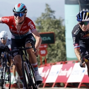 belgaimage-98762703_copie