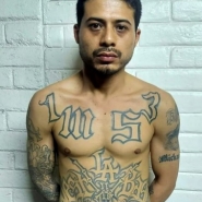 Salvador: jusqu'à 188 ans de prison pour des gangsters de la MS-13