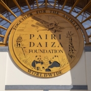 Pairi Daiza à nouveau élu meilleur zoo d'Europe