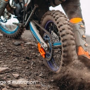 Edition numérique des abonnés