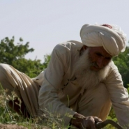 Dans le Helmand, l'opium ou la faim pour les paysans afghans