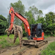 Thaïlande: 125 crocodiles abattus par crainte qu'ils ne s'échappent durant les crues