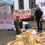 Une soixantaine de manifestants se sont retrouvés devant le siège du gouvernement wallon. Des éleveurs de moutons et de brebis dont les troupeaux ont été décimés par l'épidémie de fièvre catarrhale ovine. Les éleveurs demandent des mesures d'urgence.