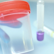 Lever l'anonymat sur les dons de sperme ? 