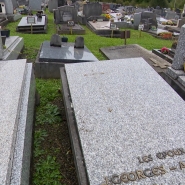 jiofewjoifjewiojfewfw