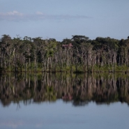 2f359bb6-3529-4e76-90cd-6f1e99e26bb4