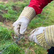 La clôture de Simon