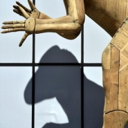 Sauvage? raconte l'histoire des hommes et des animaux au Muséum des sciences naturelles