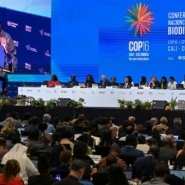 2cff6fb21df8c44f15636aabc4ad5fed3cd1e1f8