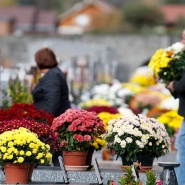 Garnir les tombes de fleurs à la Toussaint, une tradition qui se perd ? 
