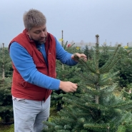 Des Sapins de Noël de grandes qualités mais plus chers: "Depuis un an, il pleut tout le temps" 