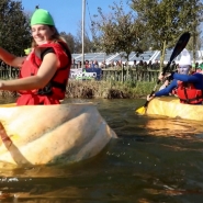 Une régate pas comme les autres près d'Anvers: les participants naviguent dans des citrouilles géantes