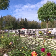 "Avant, c'était du gravier, c'était plus froid": à Andenne, les cimetières sont fleuris toute l'année 