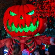 Halloween ne vient pas des Etats-Unis: quelle est l'origine de cette fête devenue incontournable?