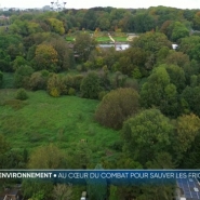 A Bruxelles, des défenseurs de l'environnement se battent pour protéger des lieux naturels inattendus: des friches urbaines et des terrains vagues. Une manière de préserver la biodiversité sur ces sites souvent très convoités par les promoteurs immobiliers.