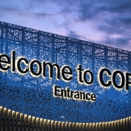 COP29