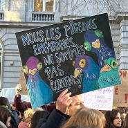 Edition numérique des abonnés