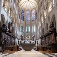 600 tonnes d'échafaudage, 2000 chênes