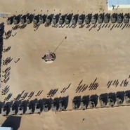 L'armée syrienne essaie de reprendre le contrôle de la région d'Alep, qui est aux mains de groupes rebelles, dont la plupart sont liée à Al-Qaïda. L'Irak a décidé d'envoyer des troupes à la frontière syrienne pour soutenir le pouvoir en place.