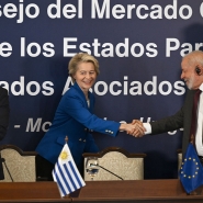 Le traité dit Mercosur va-t-il vraiment aboutir ? En voici les conditions