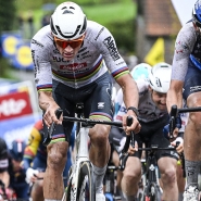 belgaimage-90177551_copie