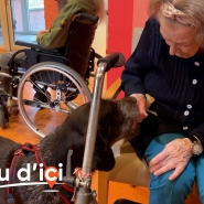 "C'est une crème de toutou": Kipso est le nouveau pensionnaire de cette maison de repos