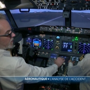 Un avion de la compagnie Jeju Air s'est écrasé à l'atterrissage en Corée du Sud, faisant au moins 179 morts. Une collision avec des oiseaux et une mauvaise météo pourraient être à l'origine du drame. Deux experts ont simulé le vol pour tenter d'y voir plus clair.
