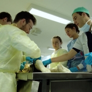 Donner son corps à la science, une nécessité pour les étudiants en médecine: "On découvre le corps humain"