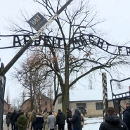 off_duplex_auschwitz