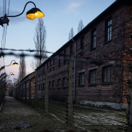 auschwitz_copy
