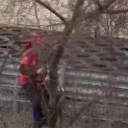 lewis_hamilton_fiorano