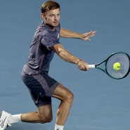 david_goffin_arnaque