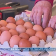 Mais aussi à cause d'une épidémide de grippe aviaire qui touche actuellement les Etats-Unis, où leur prix a augmenté par endroits de 200%. Doit-on craindre une pareille hausse chez nous ?